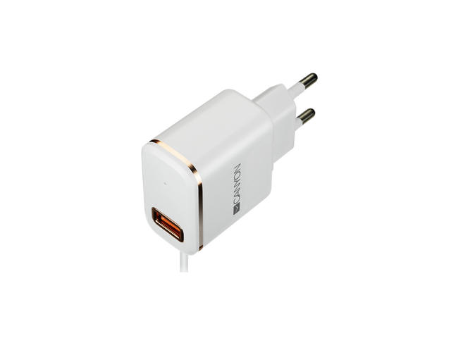 Зарядни устройства Canyon H-043 CNE-CHA043WR