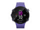 Смарт часовници Garmin Forerunner 45s Iris