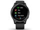 Смарт часовници Garmin Venu Stainless Steel/Back