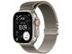 Natural Titanium Case /Natural Titanium Milanese Loop - L