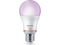 Smart Home Philips Смарт LED фил. крушка - 3 бр.